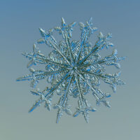 GOTA-AGUA-20