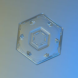 GOTA-AGUA-21