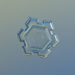 GOTA-AGUA-22