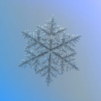 GOTA-AGUA-3
