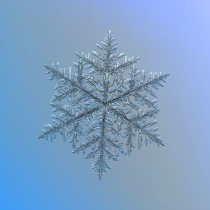 GOTA-AGUA-3
