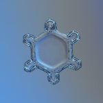 GOTA-AGUA-7