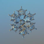 GOTA-AGUA-8